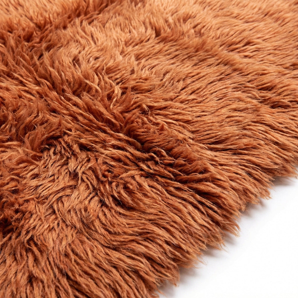 Close-up detail of the shag texture and pattern of the burnt orange rug.