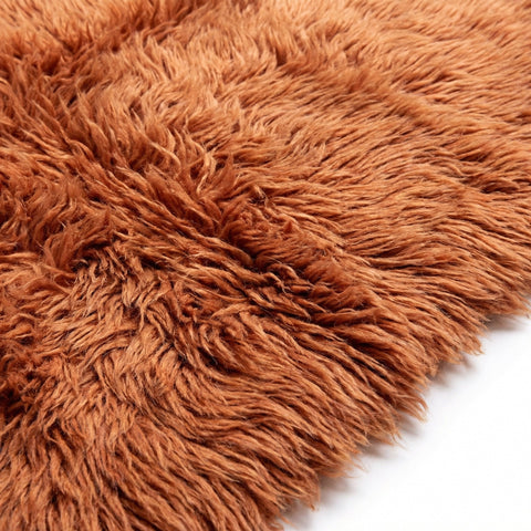 Close-up detail of the shag texture and pattern of the burnt orange rug.