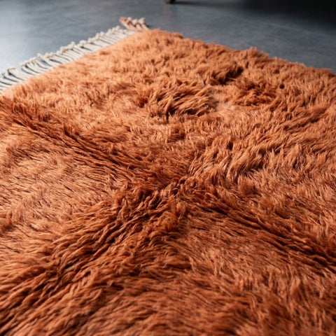 Close-up detail of the shag texture of the burnt orange rug.
