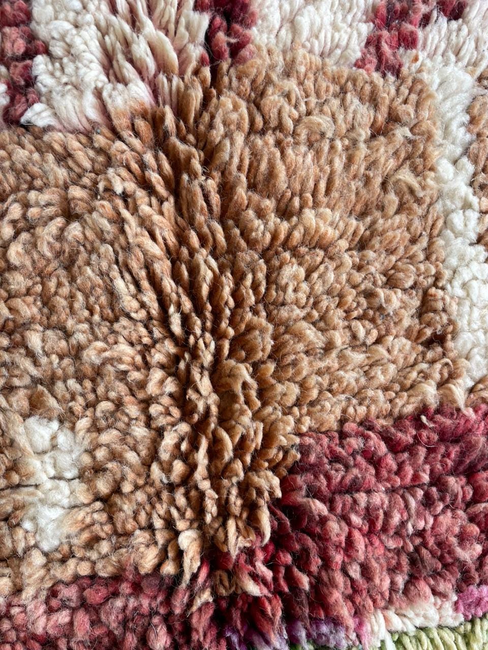 Front view of a large colorful rug displaying decorative patterns in turquoise, brown, red, and green.