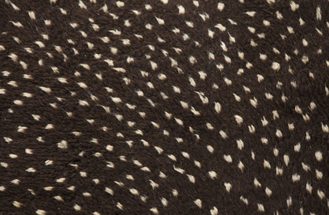 Close-up detail highlighting the patterned design of the black and off-white Beni Ourain Moroccan rug.