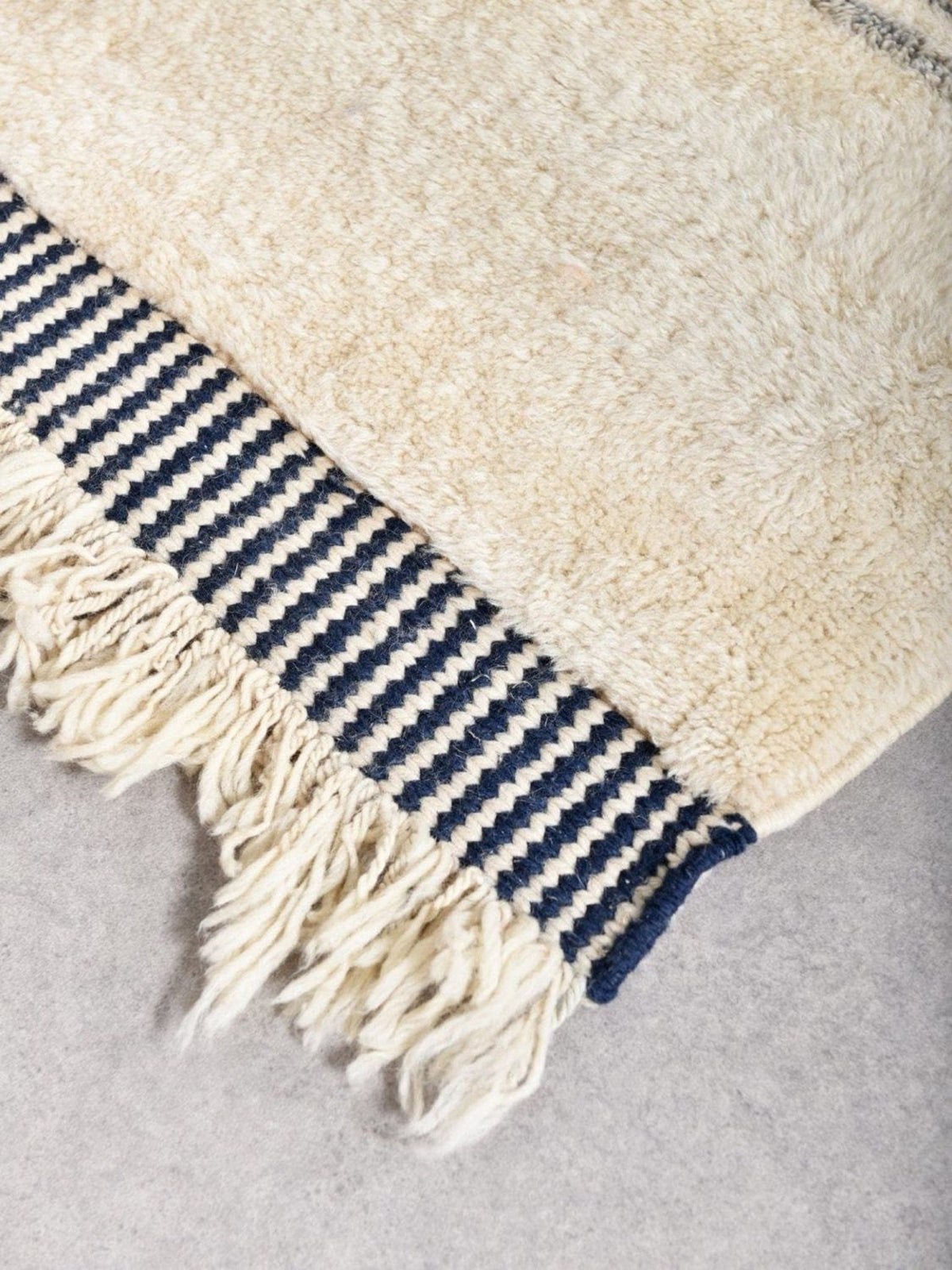 Detail close-up of a cream and blue area rug with striped edges and fringe details.